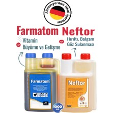 Munich Vet 2li Set Kuşlar Için Farmatom Vitamin Neftor Hırıltıı Seti (1l)