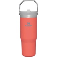 Stanley The Iceflow Flip Straw Pipetli Termos Bardak 0,89 Lt (30 Oz) - Guava