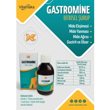 VİTAMAKS Gastromine Bitkisel Şurup 210 ml