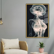 Gaagart Metal Çerçeveli Cam Poliklinik Tablosu Sanatsal Radyolojik Insan