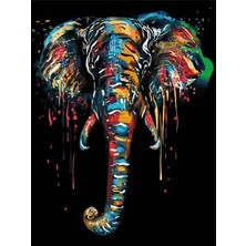 Womb Hobby Fil Dişi Sayılarla Boyama Seti  (Tuvale Gerili)