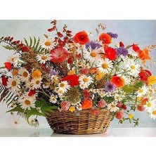Womb Hobby Çiçek Sepeti Sayılarla Boyama SETI(80X100) cm Tuval Şasesine Gerili)