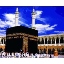 Womb Hobby Kabe Sayılarla Boyama Seti  (Tuvale Gerili)