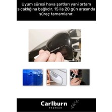 Carlburn Özel Üretim Suya Dayanıklı Nissan Marka Uyumlu Çizik Taş Izi Giderici Onarıcı 20ML Oto Rötuş Boyası