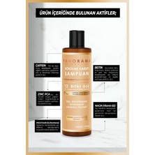 Panorama Professional Şampuan 400 Ml /Biotin Caffein Niacin (Vitamin B3) Zinc PcaProvitamin B5 (Panthenol) VEGAN - SÜLFATSIZ