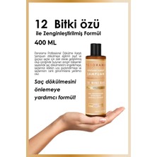 Panorama Professional Şampuan 400 Ml /Biotin Caffein Niacin (Vitamin B3) Zinc PcaProvitamin B5 (Panthenol) VEGAN - SÜLFATSIZ