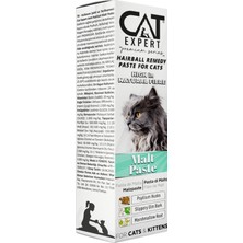 Cat Expert Malt Paste