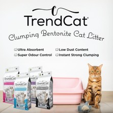 TrendCat Lavanta Kokulu Topaklanan Koku Hapseden Tozsuz 10 Lt Kedi Kumu