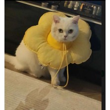 TrendyPati Kedi Yakalığı- Kedi Elizabeth Yakalık- Kedi Ameliyat Sonrası Koruyucu Yakalık