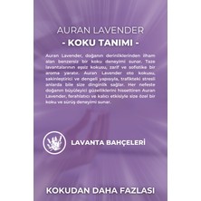 Lavender Oto Kokusu İp Askılı Araç Kokusu Uzun Süre Kalıcı Lavanta Araba Kokusu 8ml