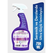 Famix Derz ve Seramik Temizleyici Sprey 750 ml