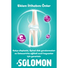 Solomon Plus B Dog 50 ml Köpekler Için Tüy Dökülmesini Engelleyici Biotin Damla