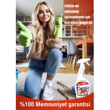 Famix Ultra Leke Çıkarıcı Sprey 750 ml