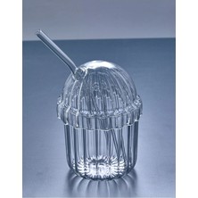 Devigo 2 Adet Kapaklı Pipetli Pinterest Bardak | Soğuk Kahve ve Sunum Bardağı | 430 ml