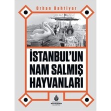 Istanbul Un Nam Salmış Hayvanları