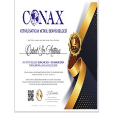 Conax 3.2 Galon Metal Basınç Tankı