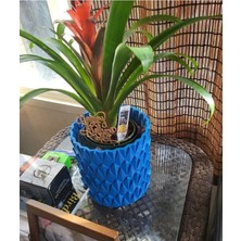 Turansoy Craft Pul Vazo & Saksı Büyük Boy (Plastiktir 20 cm Çap 16 cm Yükseklik)