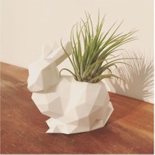 Turansoy Craft Polygonal Tavşan Saksı