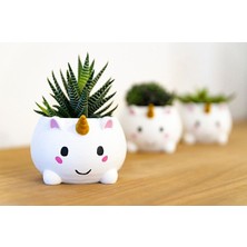 Turansoy Craft Unicorn Cuttie Saksı 13 cm