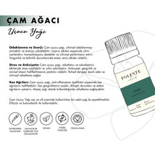 Polente Natural Çam Uçucu Yağı (10 ml)