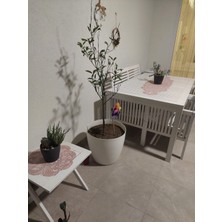 Caminho Da Lua Damla Runner Salon Oda Sehpa Masa Örtüsü Fransız Güpürlü Çeyizlik