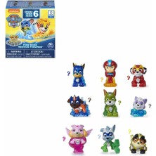 17150 Paw Patrol Rocky Mini Figür Sürpriz Paket Seri 7