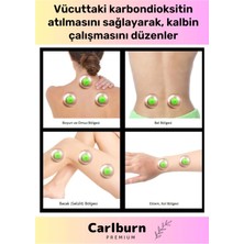 Carlburn Premium Series Çatlak Vakumlu 6 Numara Hacamat Kupası 10 Adet