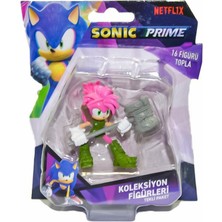 Pmı SON2010 Sonic Tekli Figür Blister Aso Rtili - Neco Toys