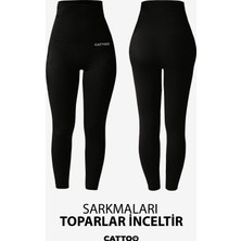 Catto Korse Tayt