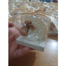 Opulent Accessories Kuzu Mum 15 Adet Kutulu, Doğum Günü lik,babyshower,1yaşpartisi,yenidoğan lik Mum,bebek Mevlüt,sünnet si