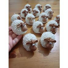 Opulent Accessories Kuzu Mum 15 Adet Kutulu, Doğum Günü lik,babyshower,1yaşpartisi,yenidoğan lik Mum,bebek Mevlüt,sünnet si