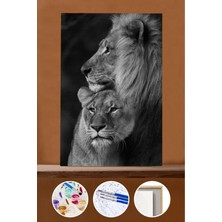 WebStyle Sayılarla Boyama Seti Çerçeveli Kasnaklı Aslanların Aşkı 3 60X75 cm