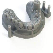 Alias Dental Model Reçinesi 1000 G