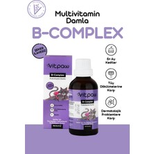 Vitpaw Yetişkin Kedi Sağlık Seti (Multivitamin Paste, Fish Oil, B+ Complex)