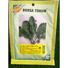 Bursa Tohum Bu-Ter Tere Otu 10 Gr x 3 Adet