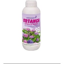 Agronom Ortanca Besini 100CC