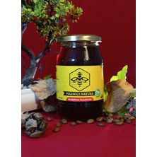 Poleniçe Natura Çiçek Balı 460 gr