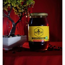 Poleniçe Natura Çiçek Balı 460 gr