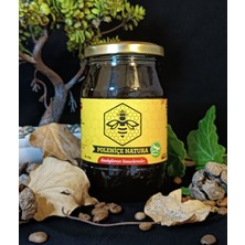 Poleniçe Natura Bahar Balı 460 gr