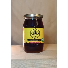 Poleniçe Natura Çam Balı 460 gr
