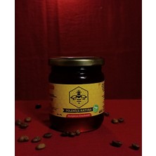Poleniçe Natura Çam Balı 250 gr