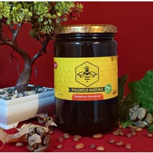 Poleniçe Natura Bahar Balı 850 gr