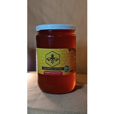Poleniçe Natura Çam Balı 850 gr