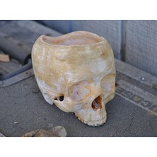 Turansoy Craft Kurukafa Kase ( 10 cm Çap )