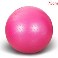 Chaoduo Shop 75CM Pembe Tarzı Yoga Topu 65CM Fitball Denge Topları 45CM Bola Jimnastik Egzersizi Spor Masajı Egzersizi 75CM Pilatelates 55CM Fitness Topları (Yurt Dışından)