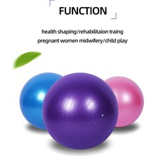 Chaoduo Shop Gümüş 75CM Tarzı Yoga Topu Pilates Fitness Kalınlaşmış Patlamaya Dayanıklı Egzersiz Ev Spor Salonu Denge Topu Jimnastik Egzersizi Pvc Top cm (Yurt Dışından)