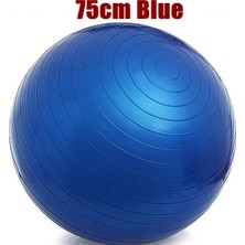 Chaoduo Shop 75CM Mavi Stil 55CM 65CM 75CM Yoga Topu Pvc Kalınlaştırıcı Fitness Topu Yoga Topu Pilates Topu (Yurt Dışından)