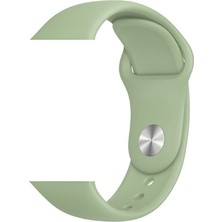 Alan Tech Watch 42MM Uyumlu Klasik Kordon Zore 20-Mint