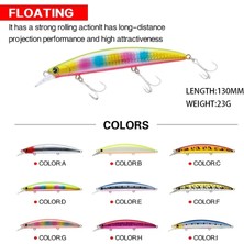 Tlg Shop D-19G Stili Büyük Crankbait Minnow Balıkçılık Cazibesi Yüzen Sert Baitg 19G Yapay Yem Balıkçılık Wobblers Yüzme Sazan Olta Takımı (Yurt Dışından)