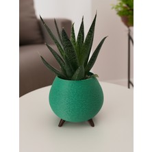 Paprika Saksı - Dekoratif Vemodern
